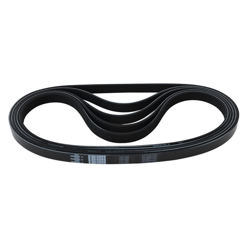 Flexilis Ribbed Belts